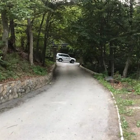 Sarajevo Hill 펜션 *